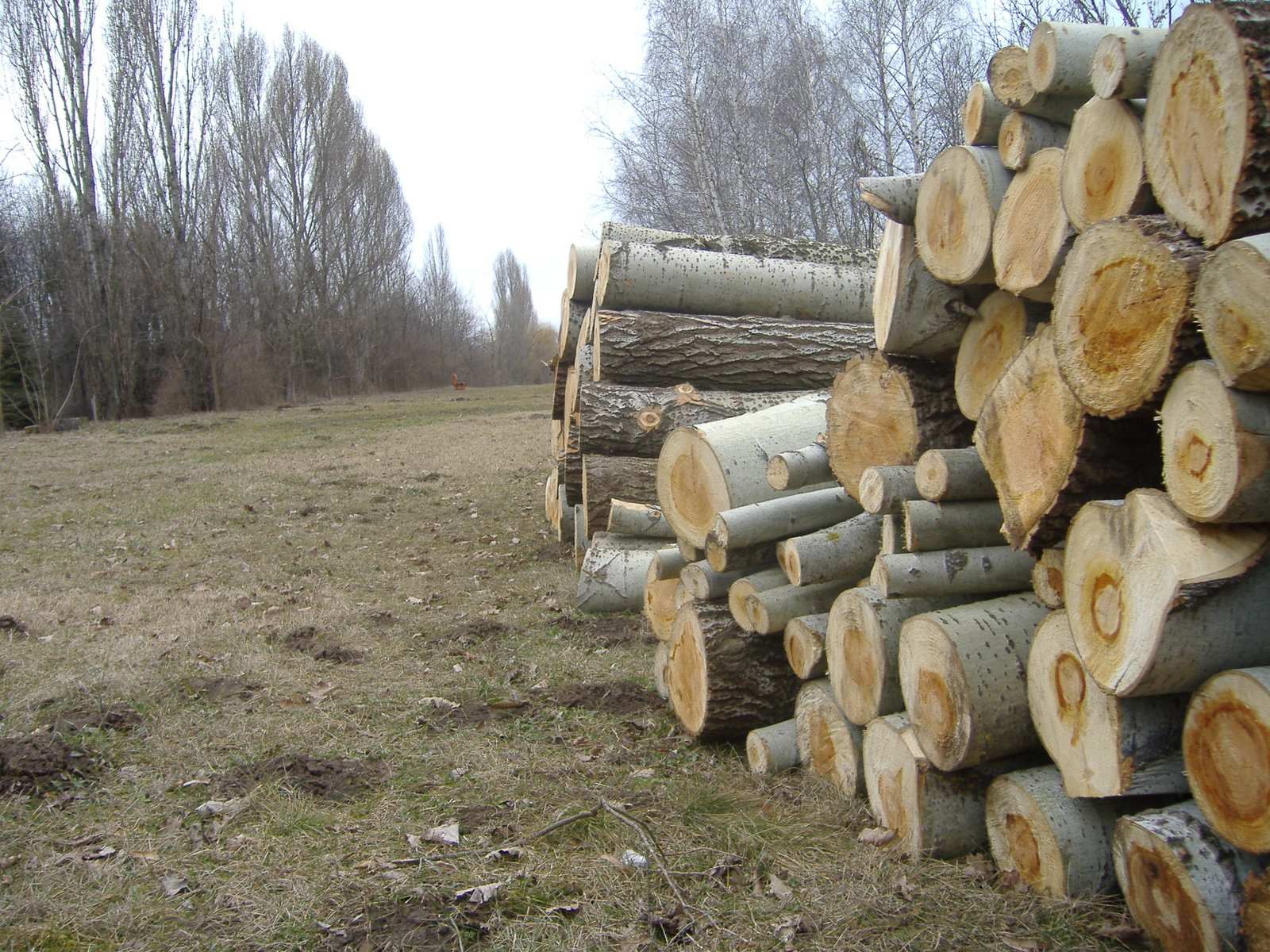 Kecskeméti Arborétum