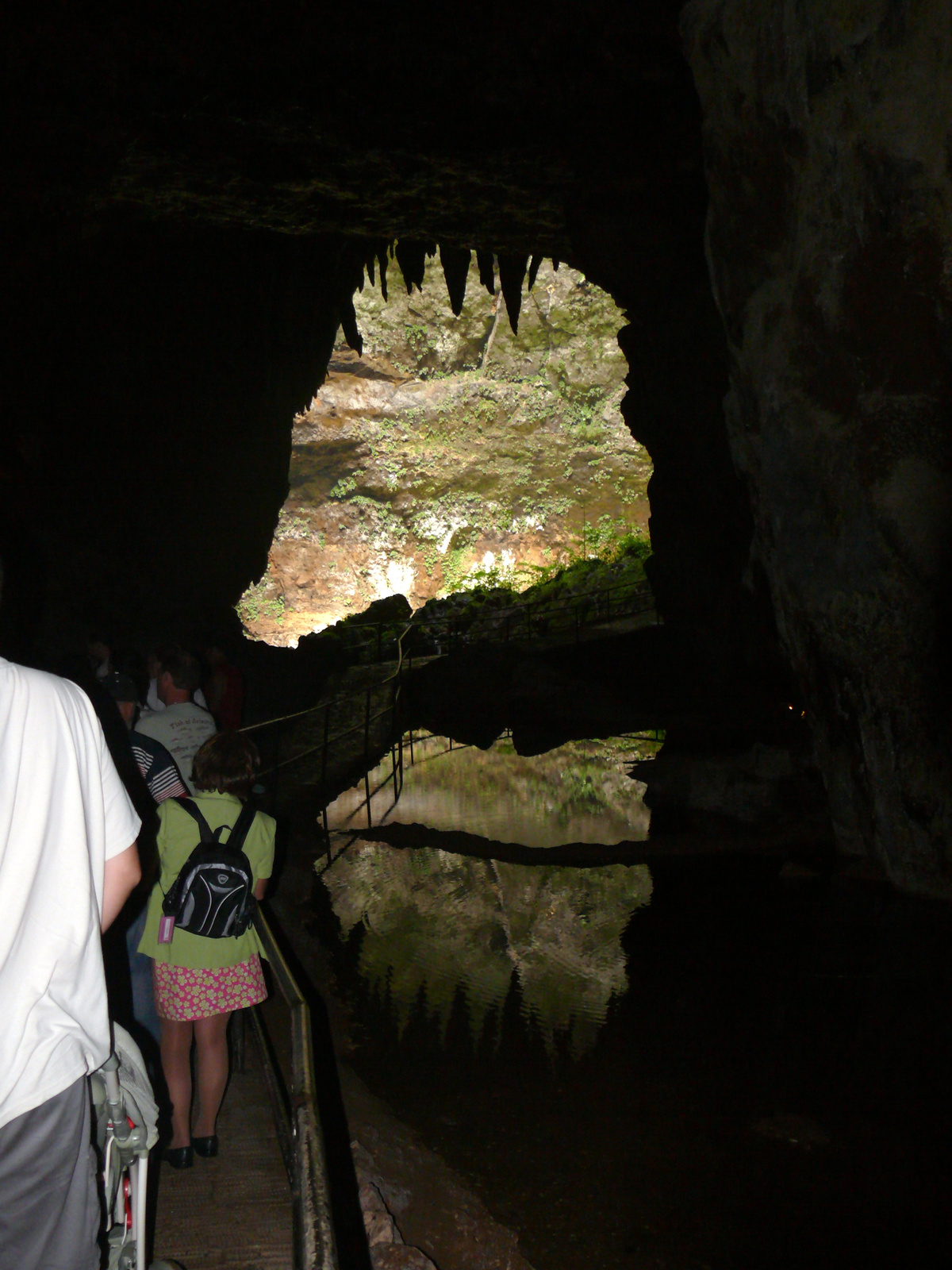 Rio Camuy cseppkőbarlang