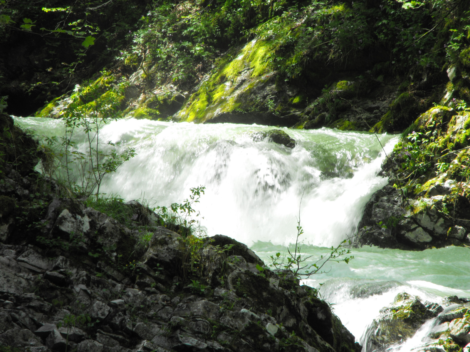 2010 0506 Slovenia 0203