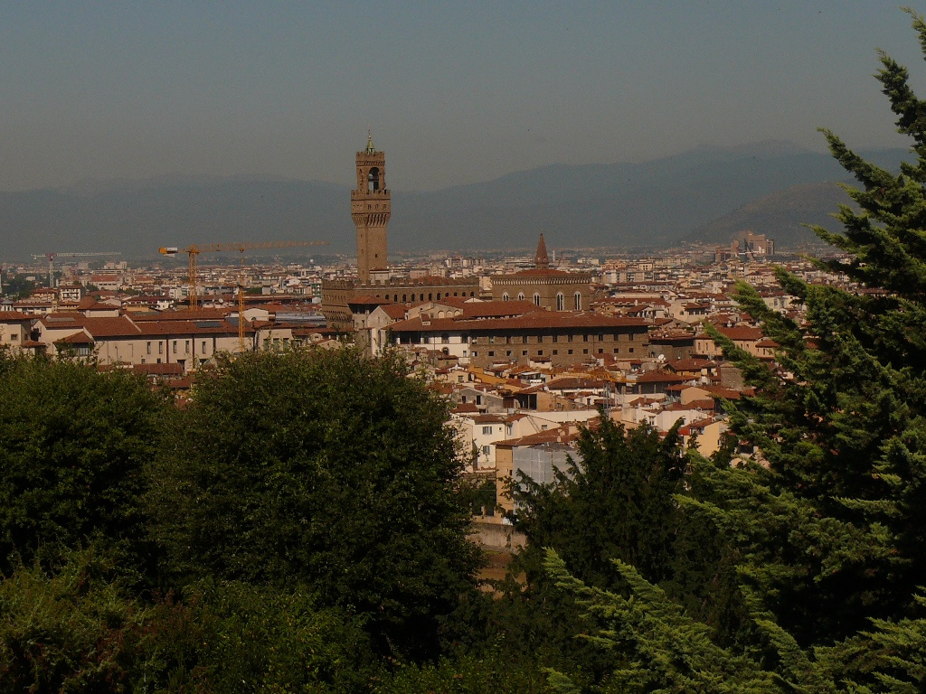 pizza,napoli,firenze 168