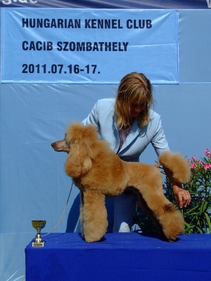 Szombathely CACIB 110716 104