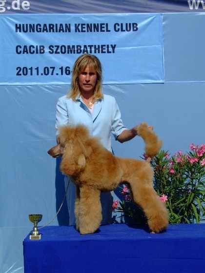 Szombathely CACIB 110716 108