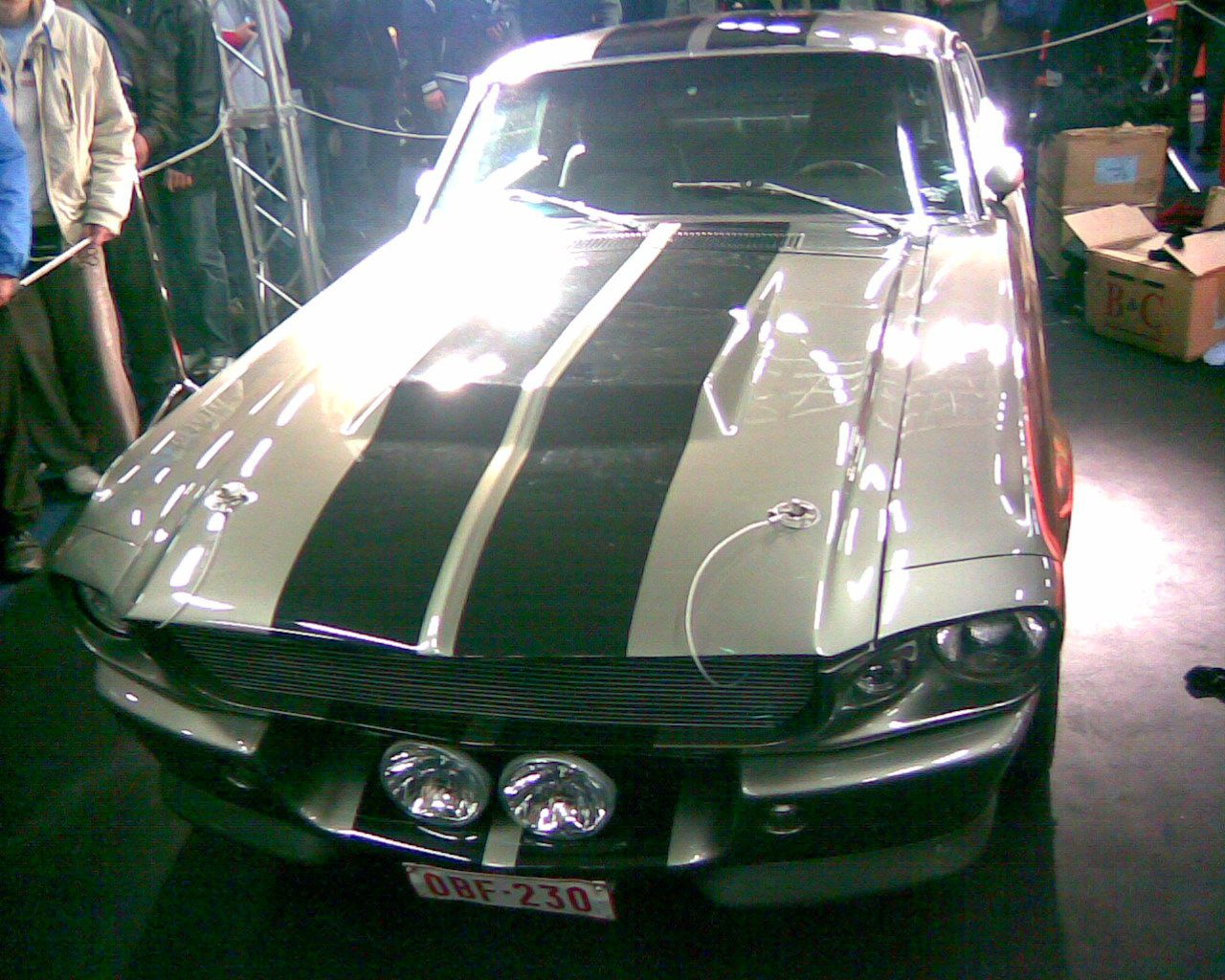 Shelby GT500 Eleanor18