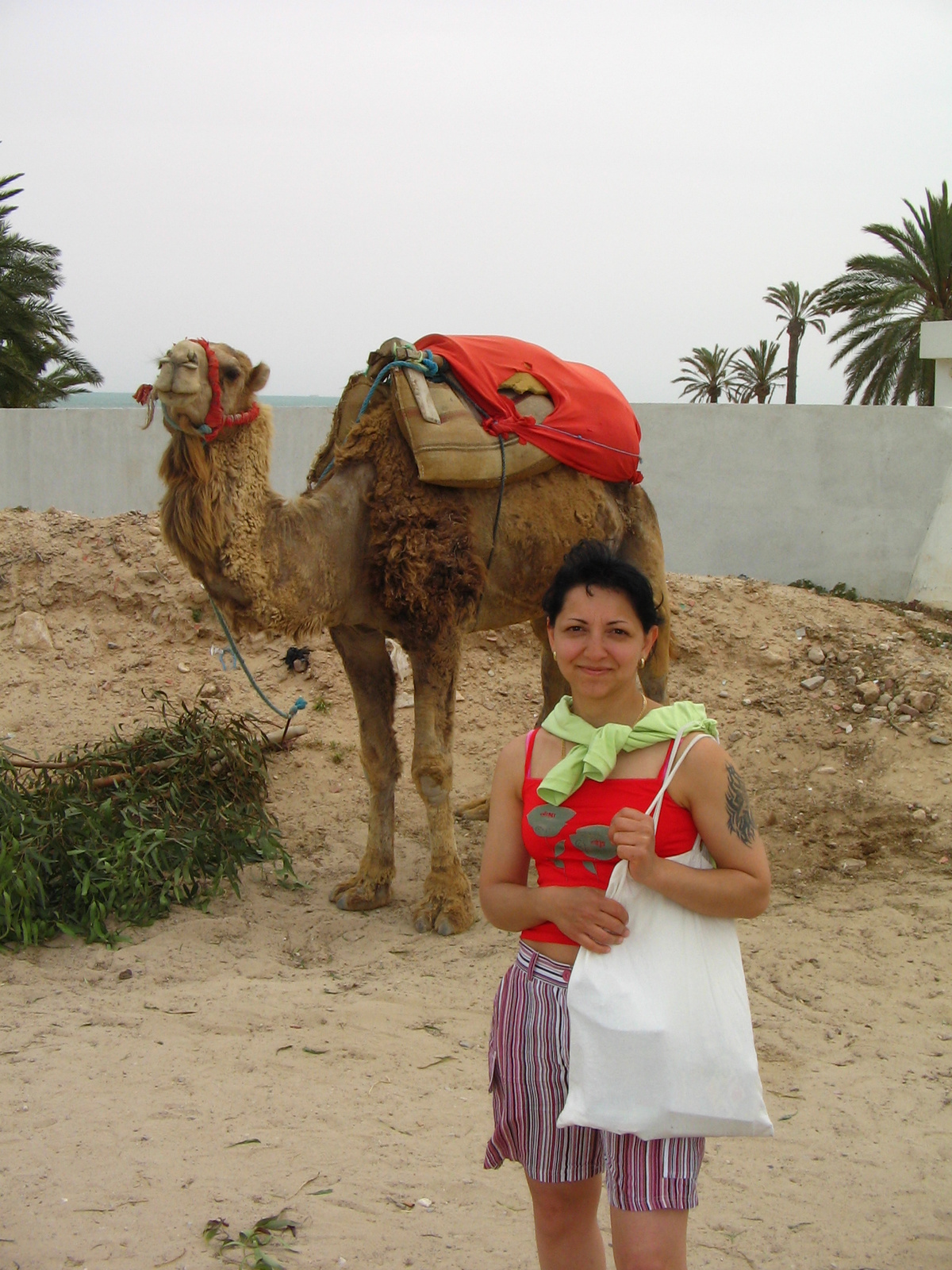 TUNESIEN DJERBA 049