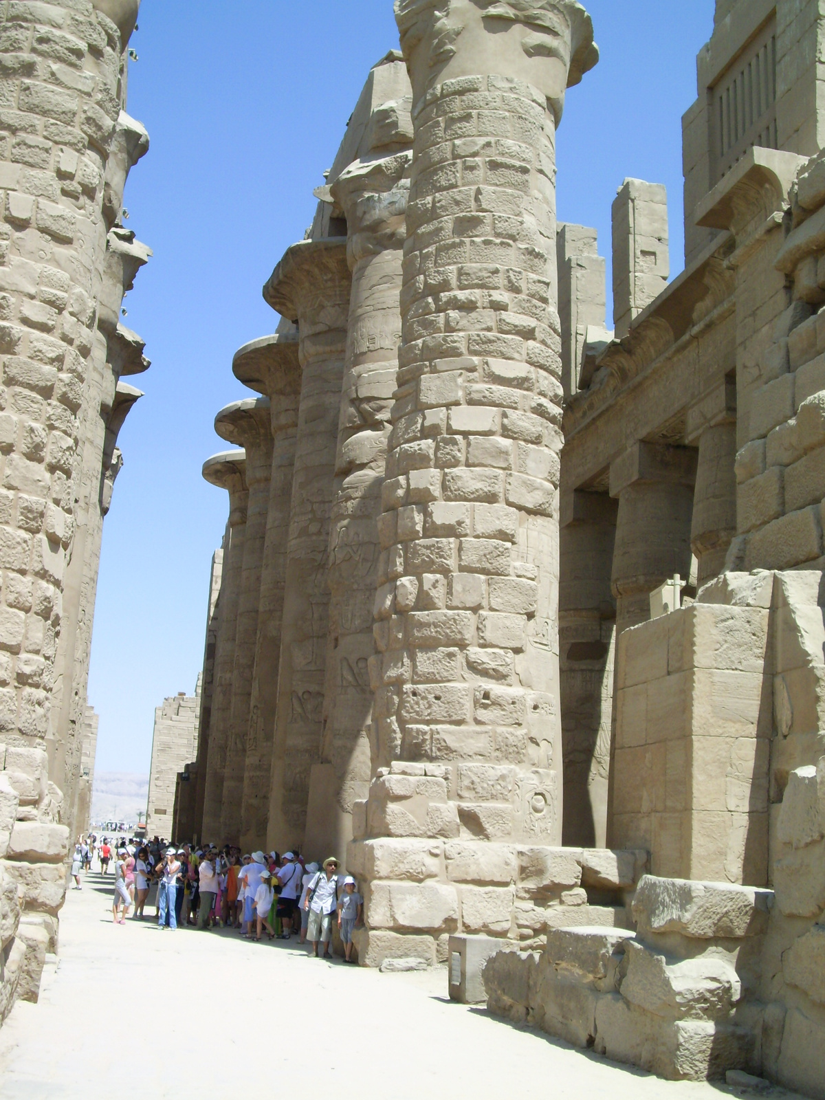 egypt (116)