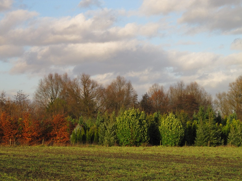 Eindhoven 22.11.2009 030