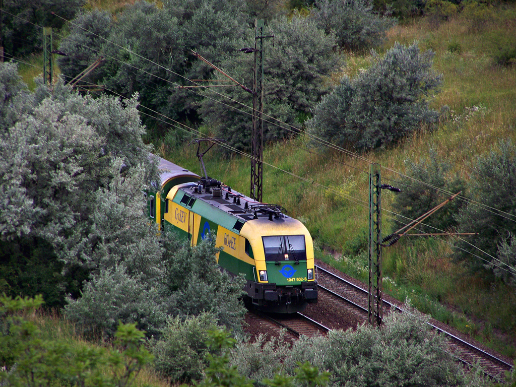 1047 502 - 8 Szár (2011.07.03)02