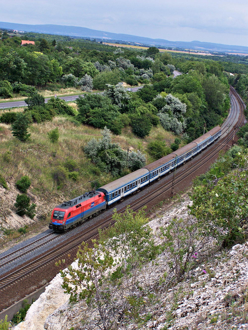 1116 019 - 9 Szár (2011.07.03)