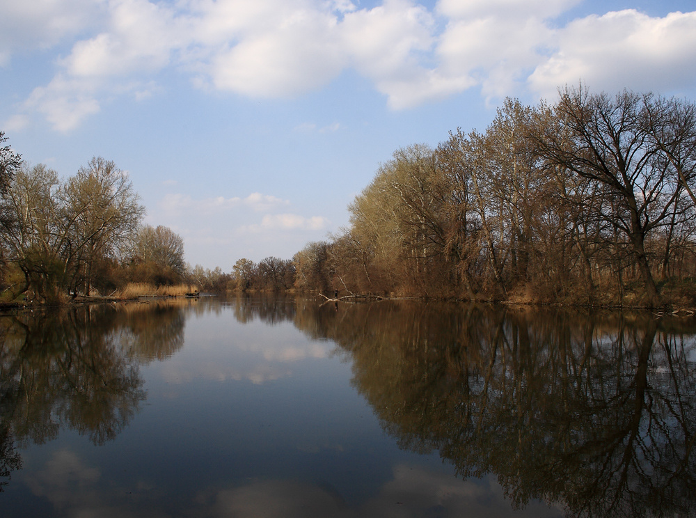 Szigetbecse-tavasszal