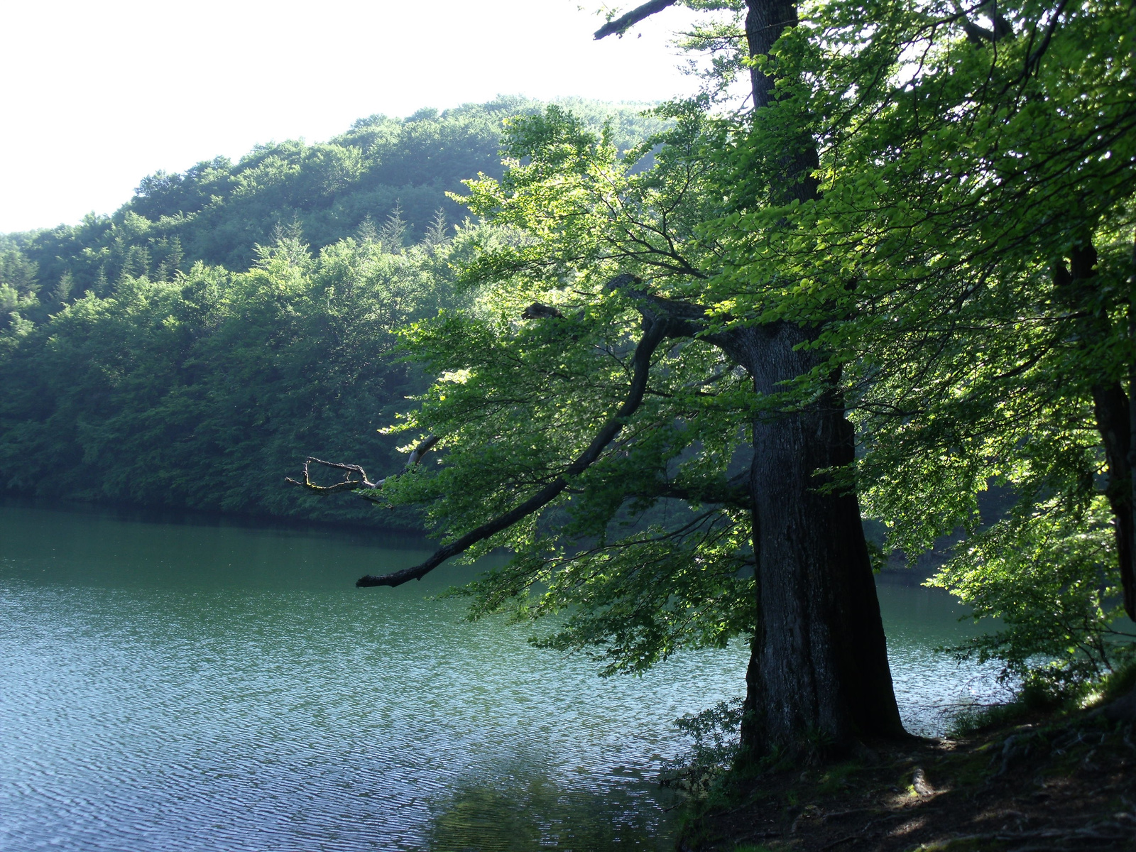 Vihorlát, 2010.05.28-30. 002