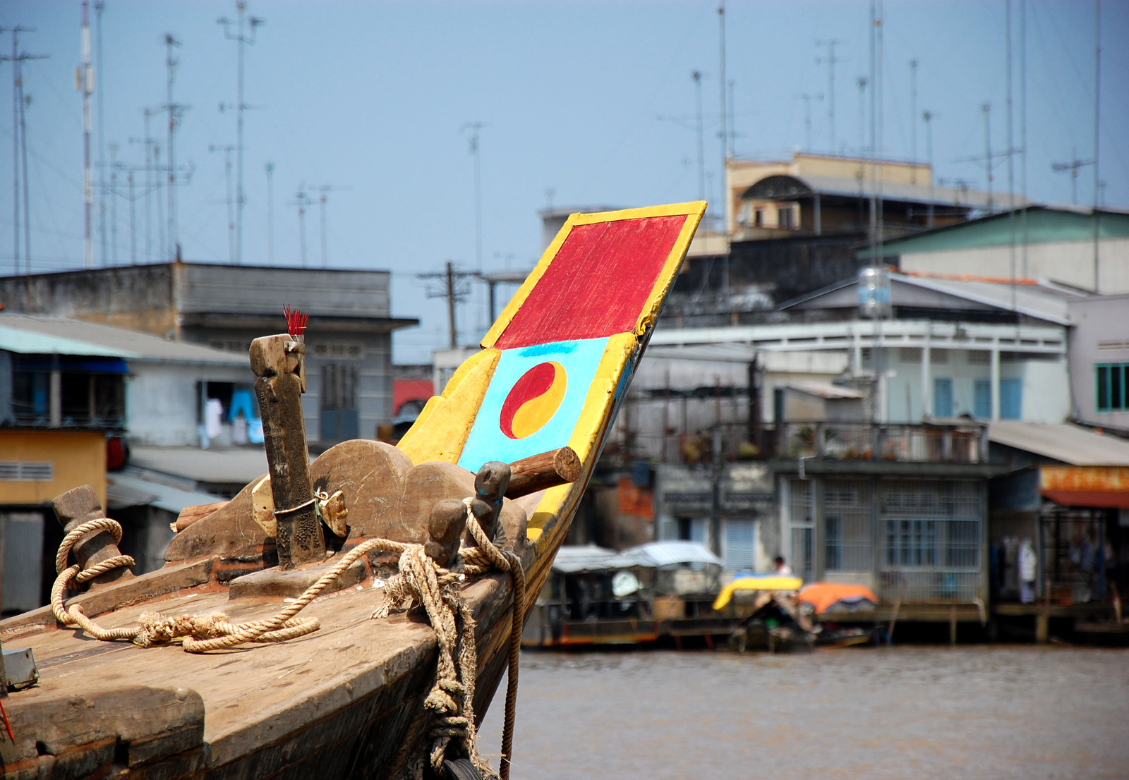 The Mekong delta