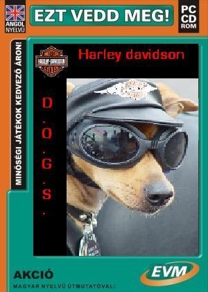 Harley davidson dogs