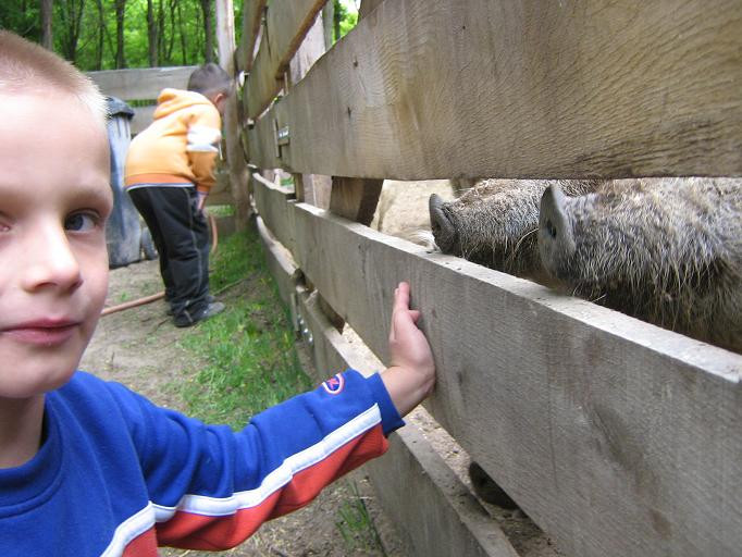 2009.06.04. Erdei óvoda Jánoshalma 088