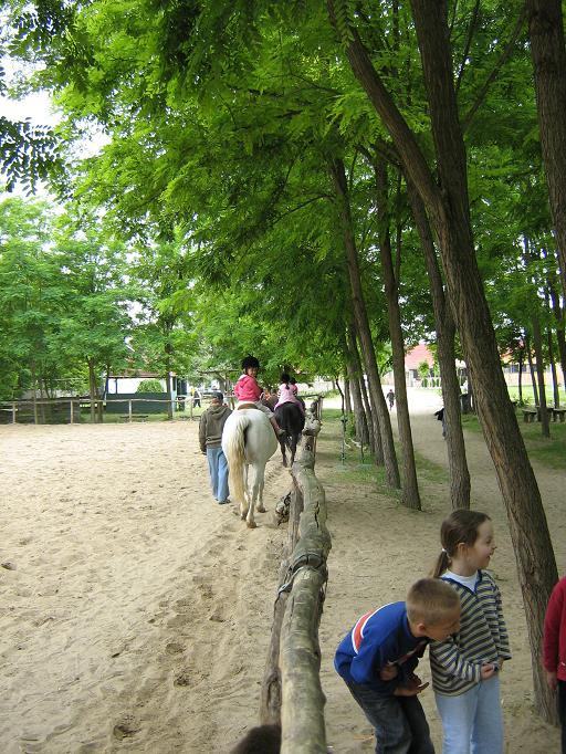 2009.06.04. Erdei óvoda Jánoshalma 141