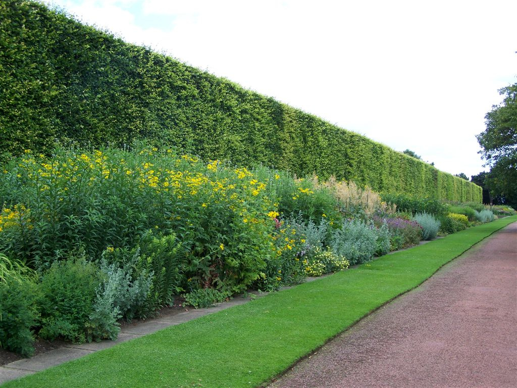 Royal Botanic Garden, Edinburgh