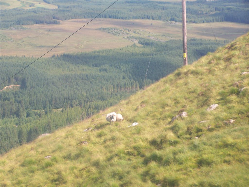 Aonach Mòr