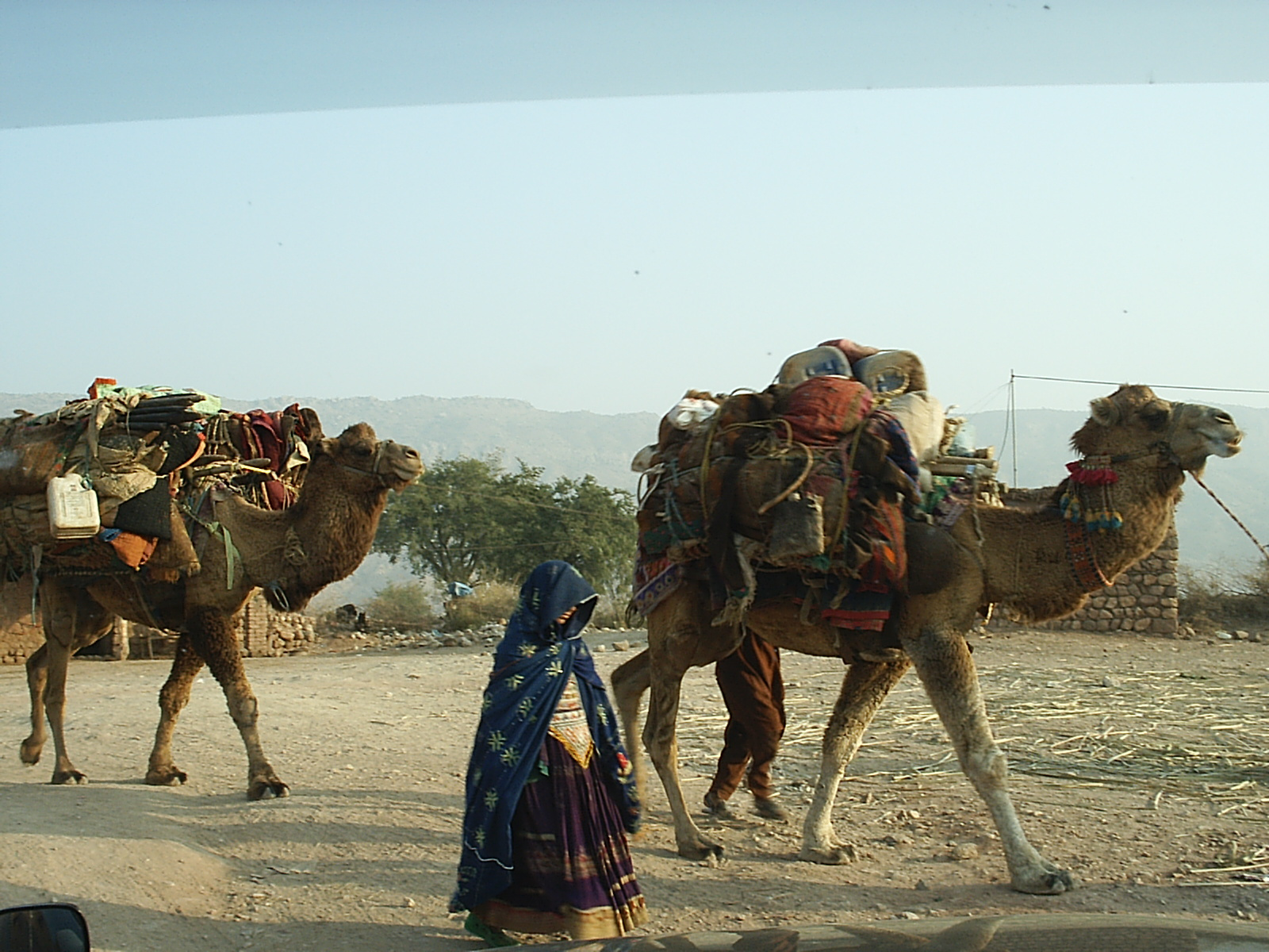 Afghan Nomads in Pakistan