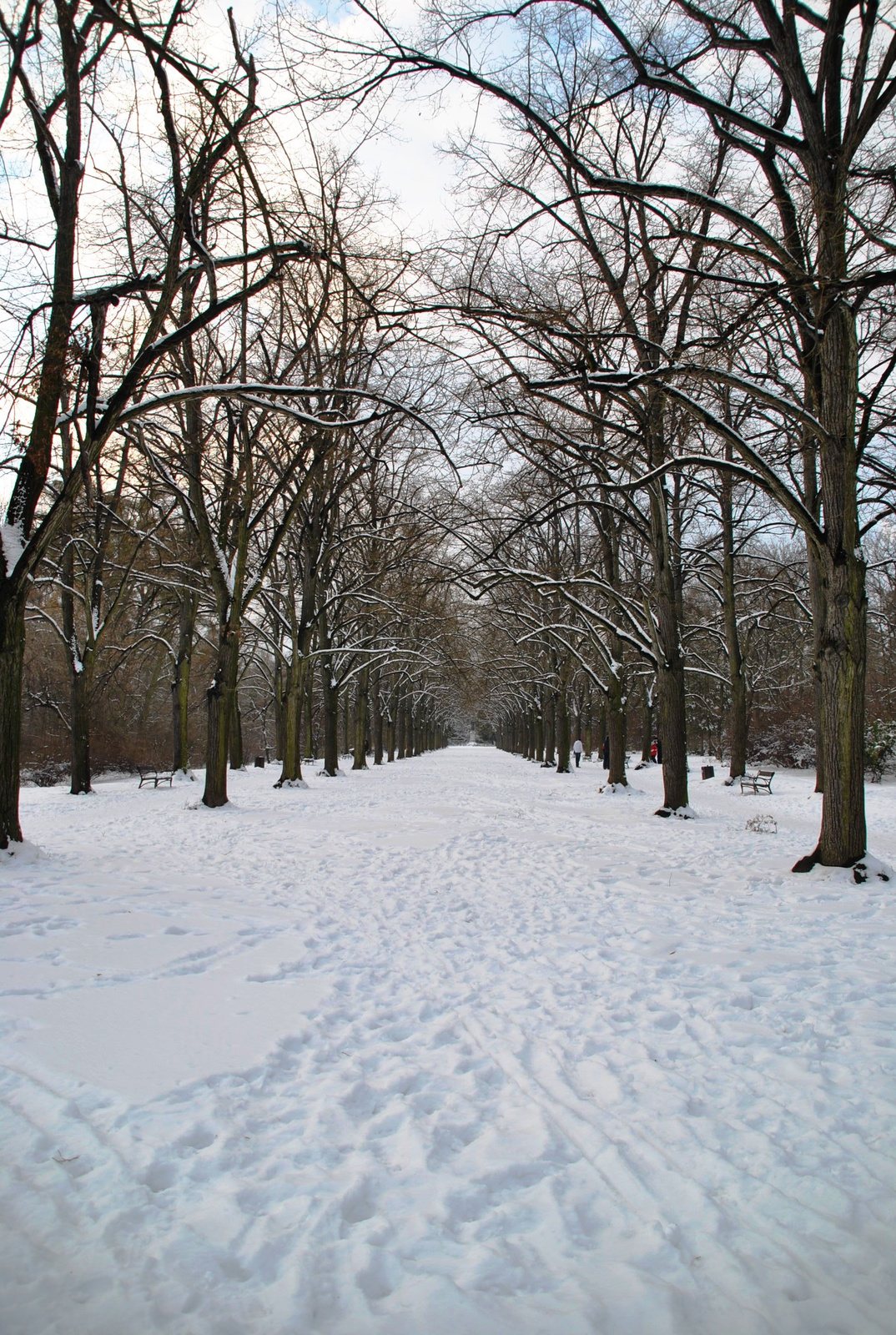 Erzsébet park