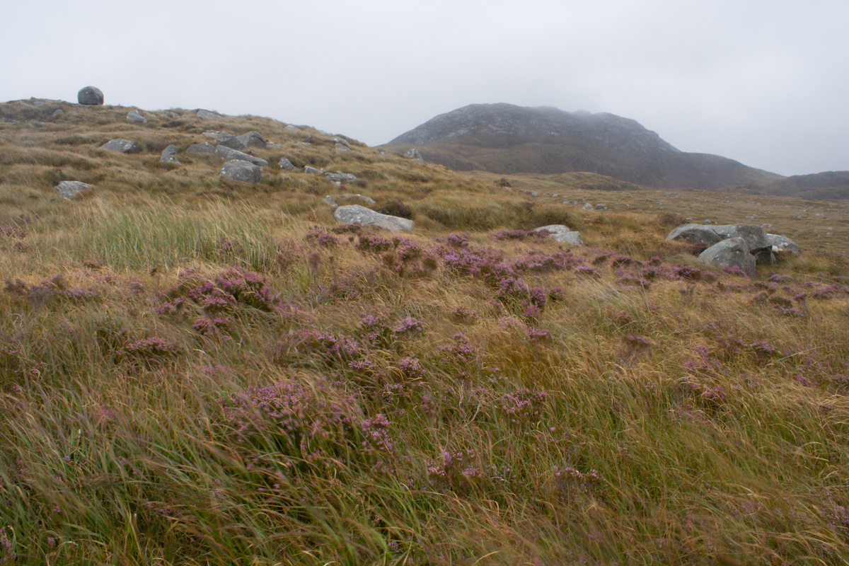 3.nap( MG 4291-1)Connemara