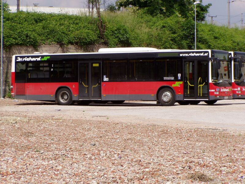 bécs-080524-busz (30)