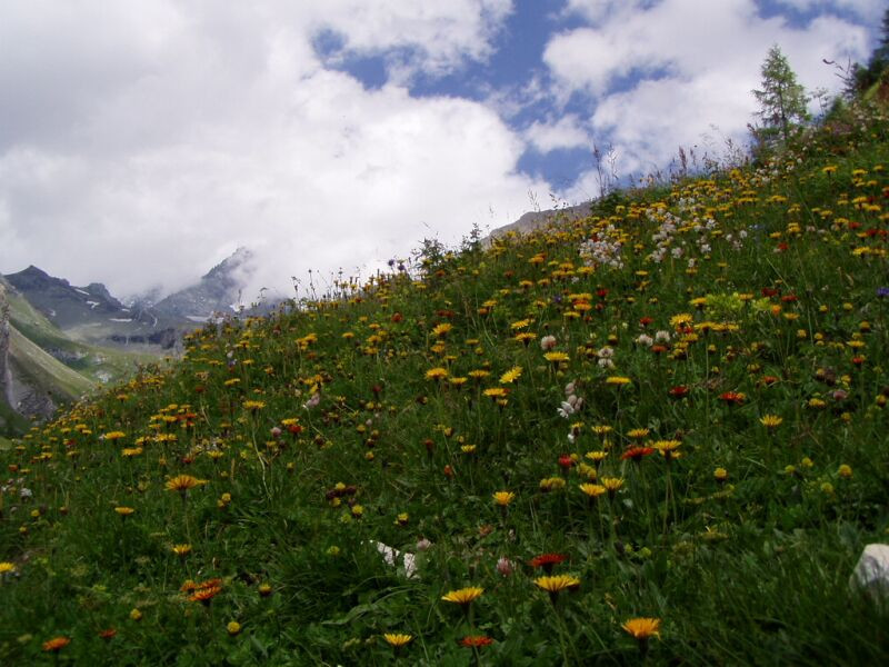 kals-glockner-043