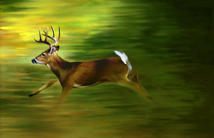 small running deer copy