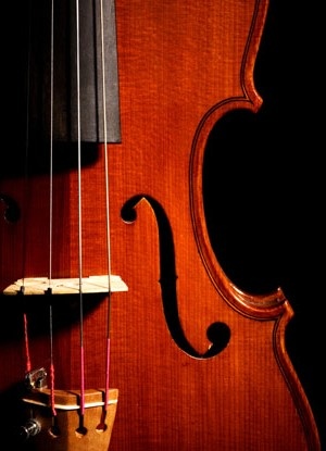 classical music collection violin