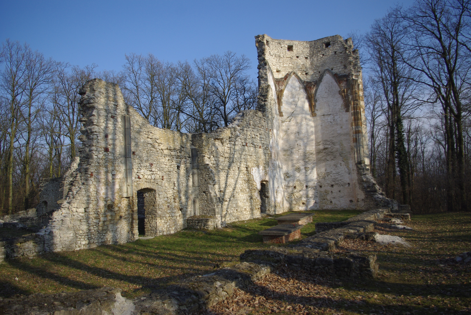 2011.01.15. Nagyvázsony-Nemesleányfalu