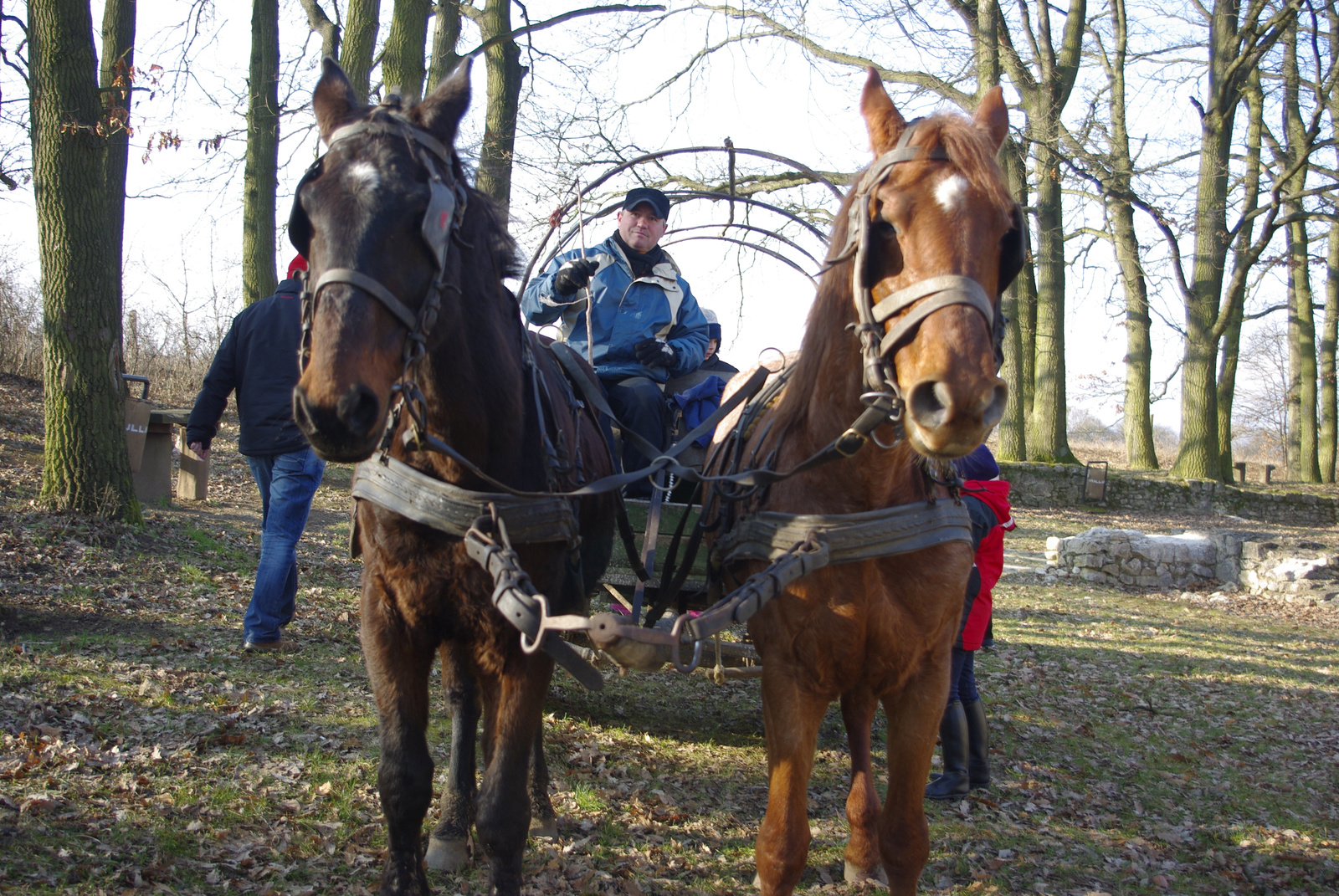 2011.01.15. Nagyvázsony-Nemesleányfalu