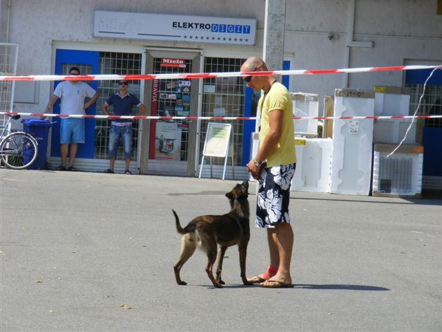 2009.07.18konrad orokbefogado nap 015