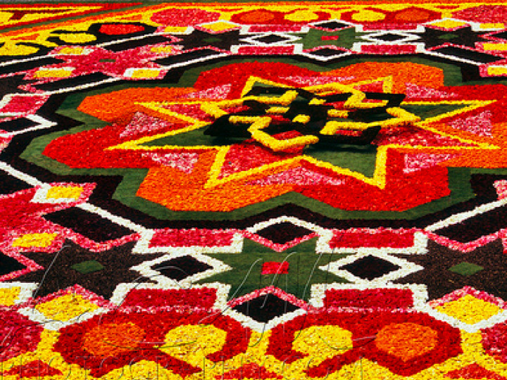 carpet of flower.009