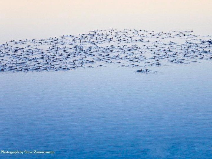 NationalGeographic2008.032