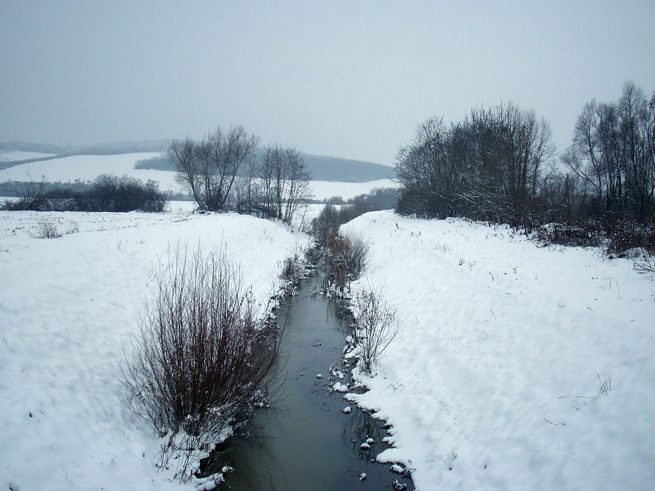 Koppány-patak 2007