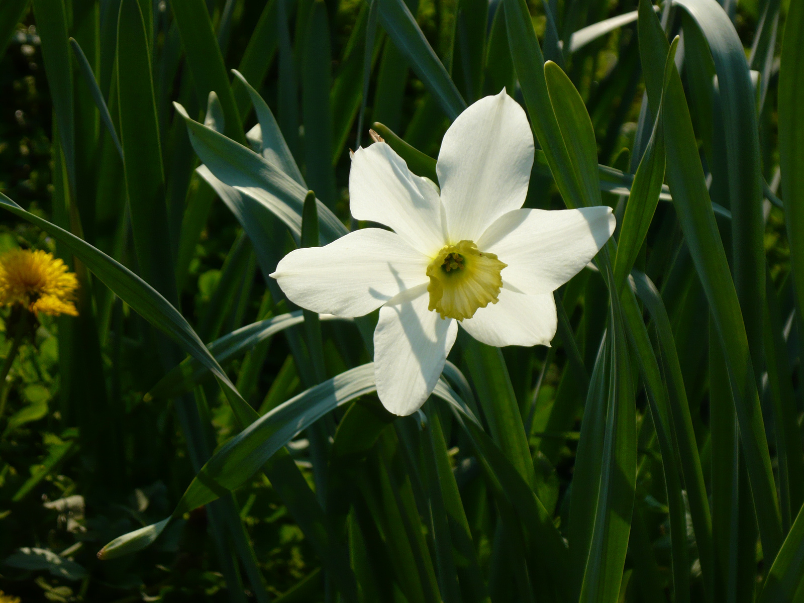 2009. esküvő 167