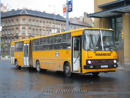 dza411ny31