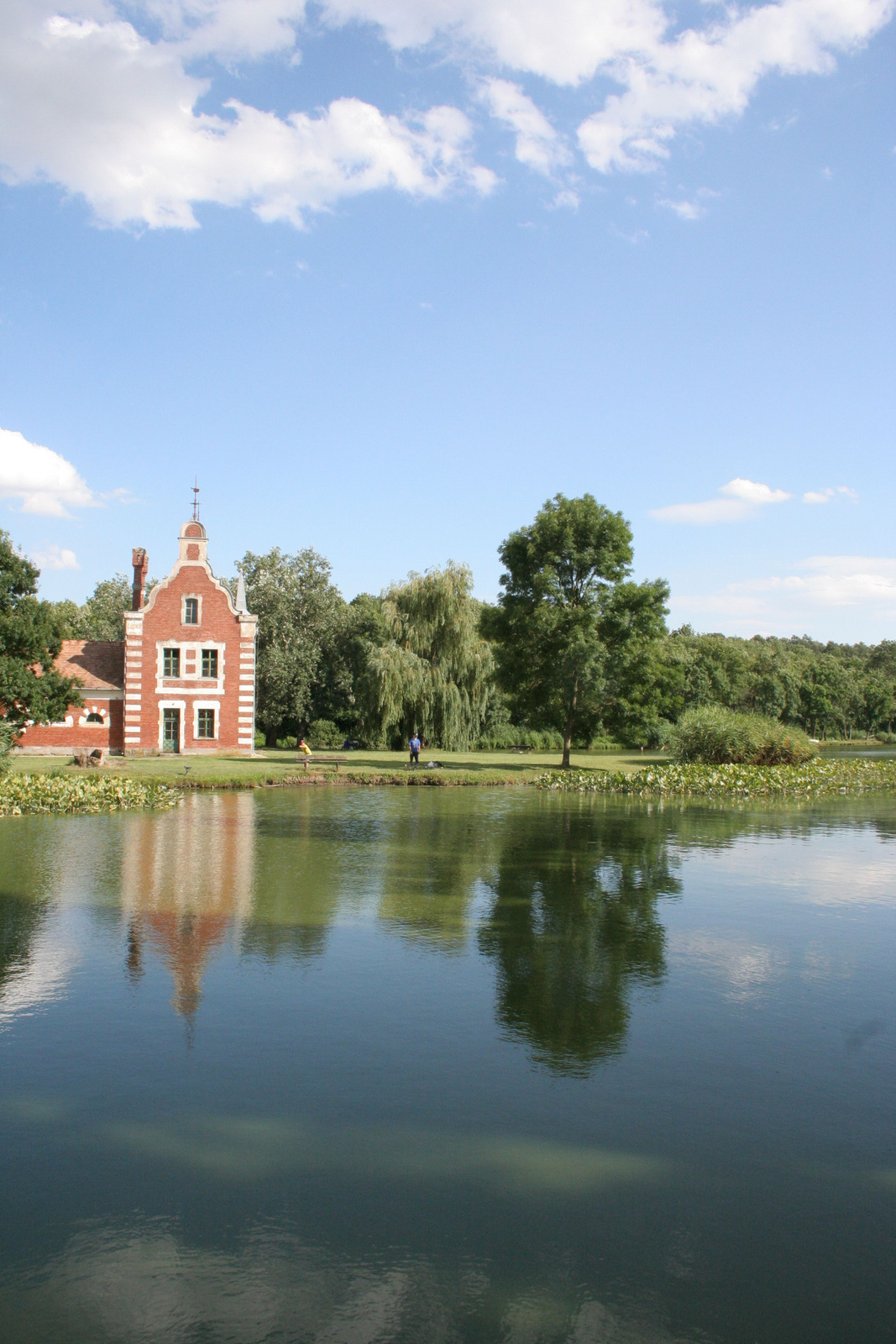 2008.07.05 mezőföldKép 136