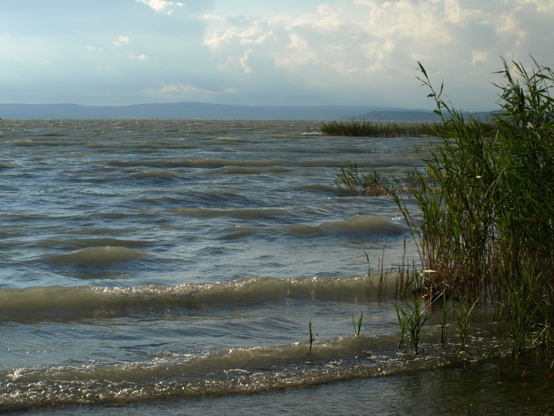 balaton2008+ 365