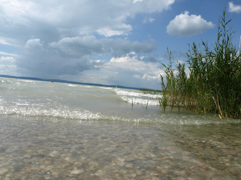 balaton2008+ 230