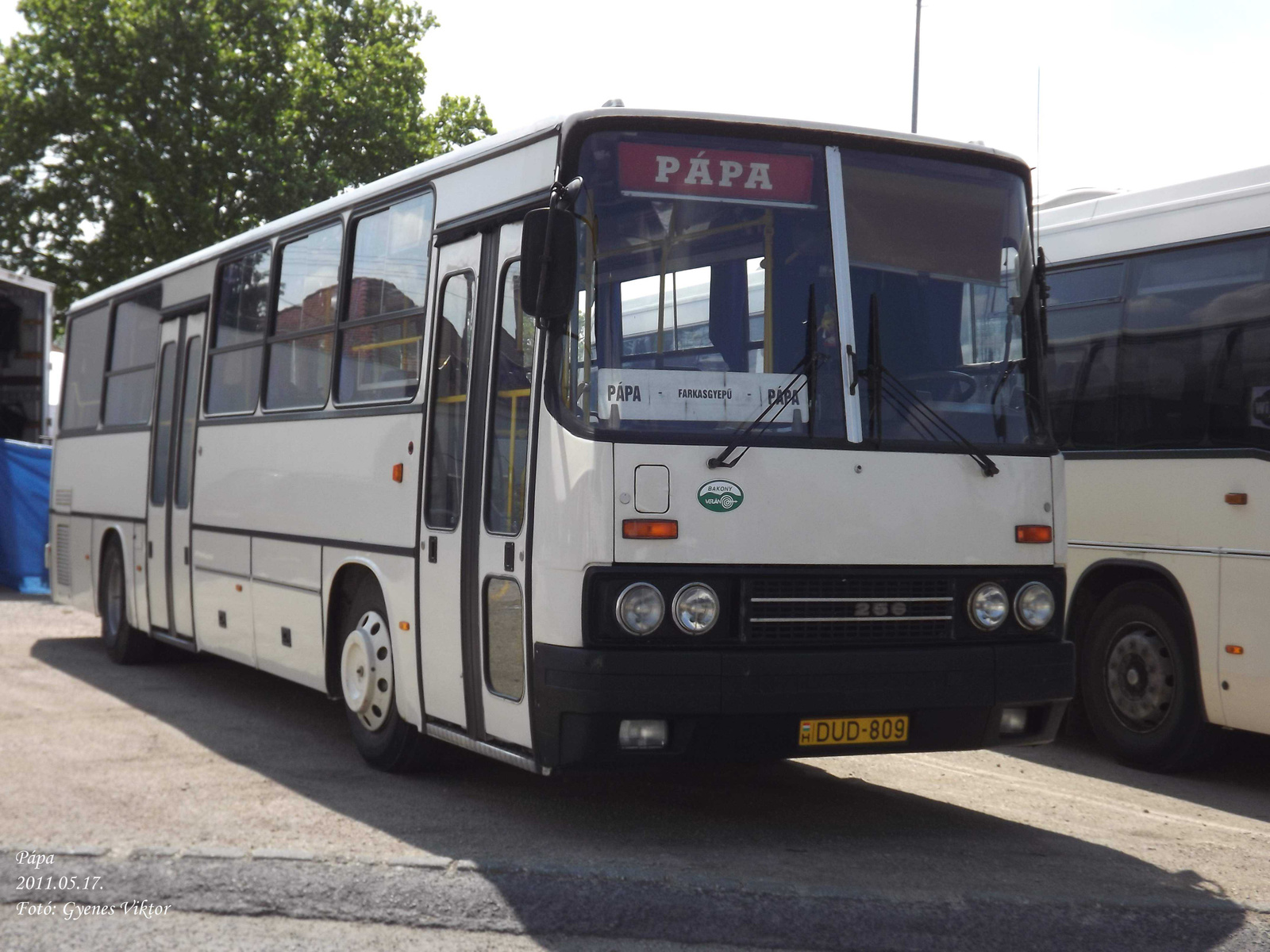 Ikarus 256-44-DUD-809