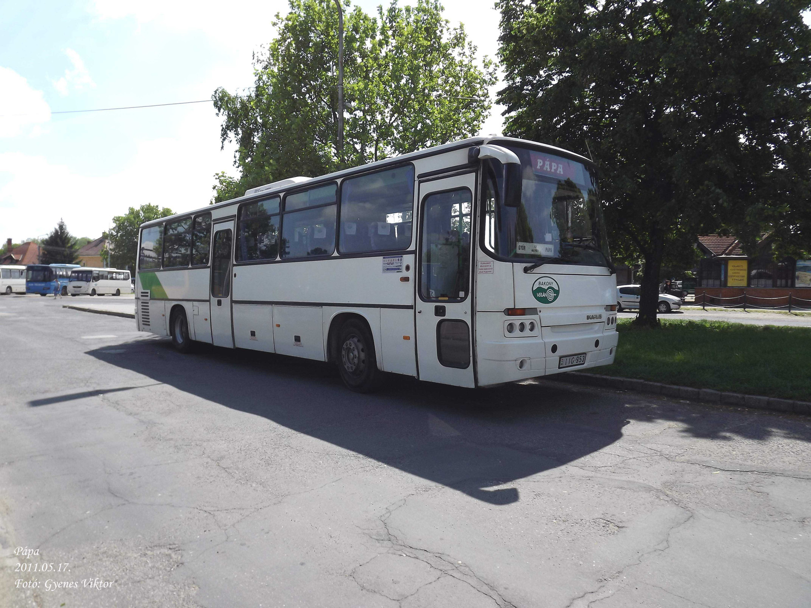 Ikarus Classic C56-IIG-953