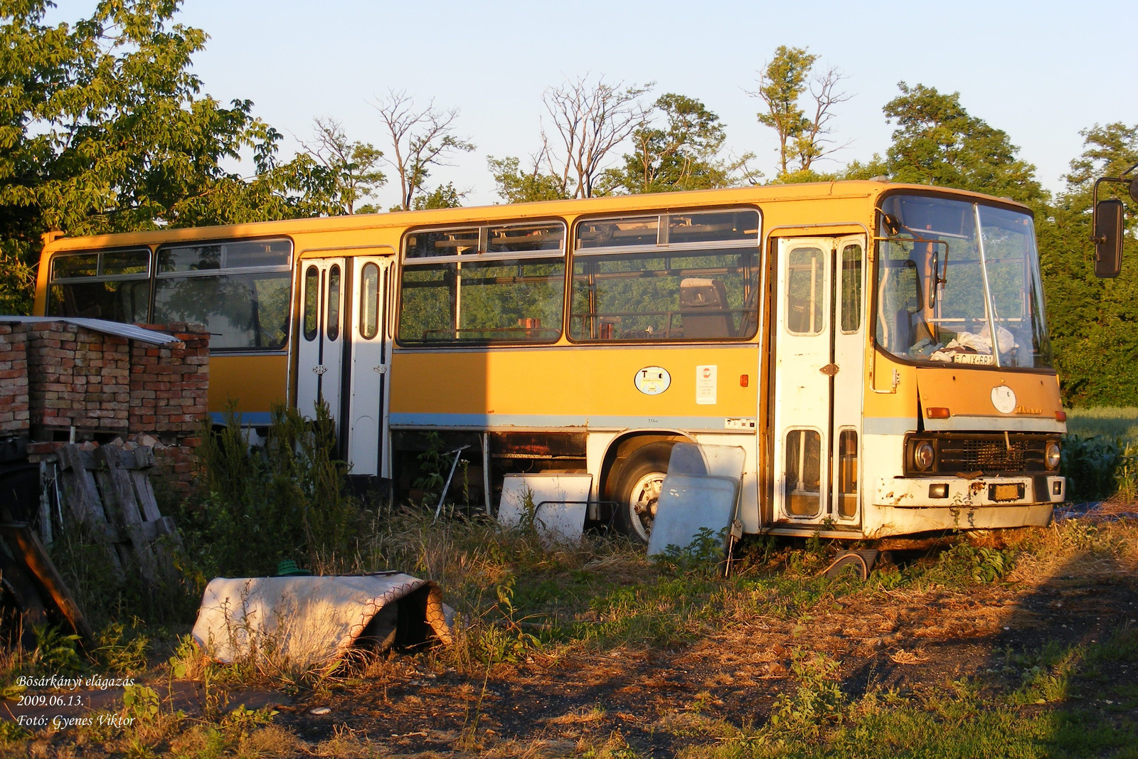 Ikarus 266-CJX-681 1