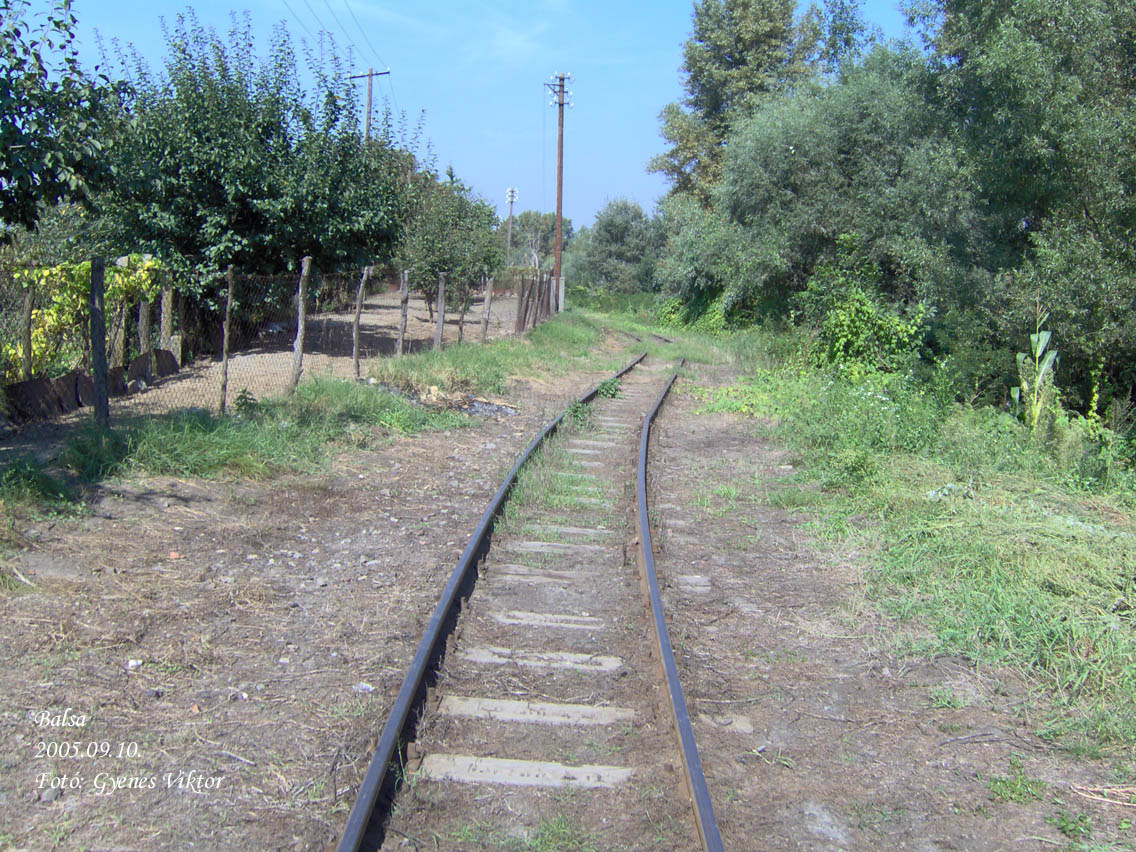 Nyíregyházi kisvasút-Balsai Tisza-partra vezető vágány2