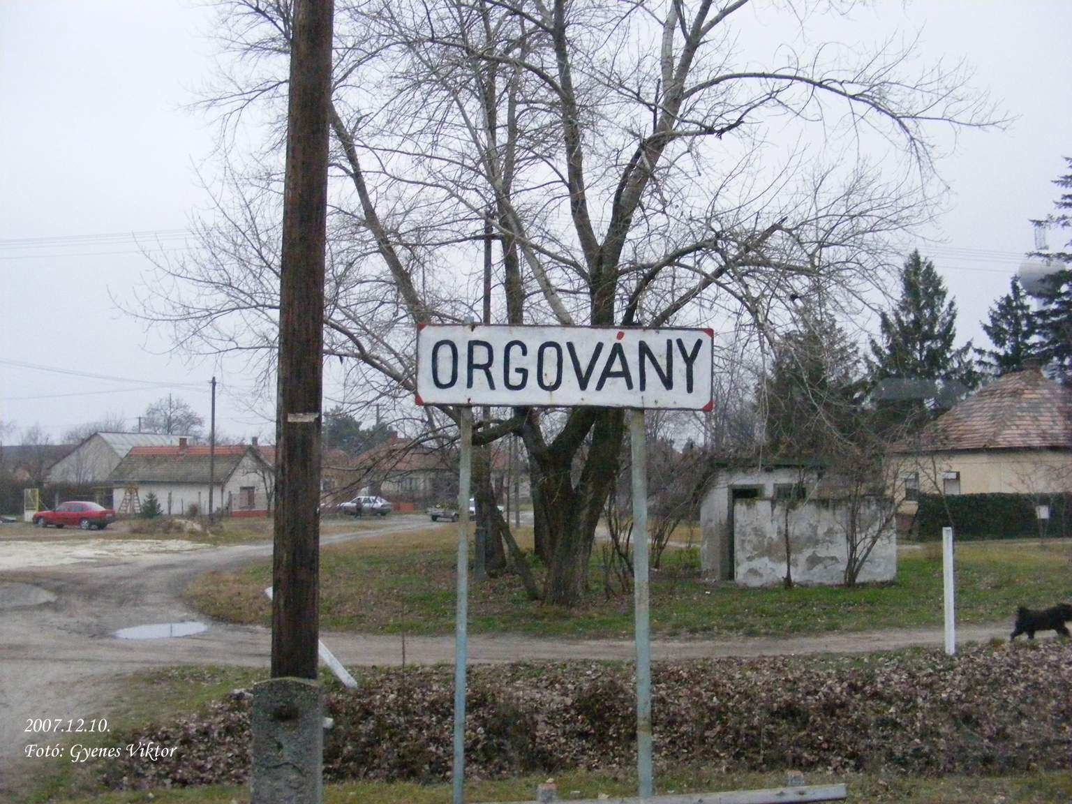 Orgovány