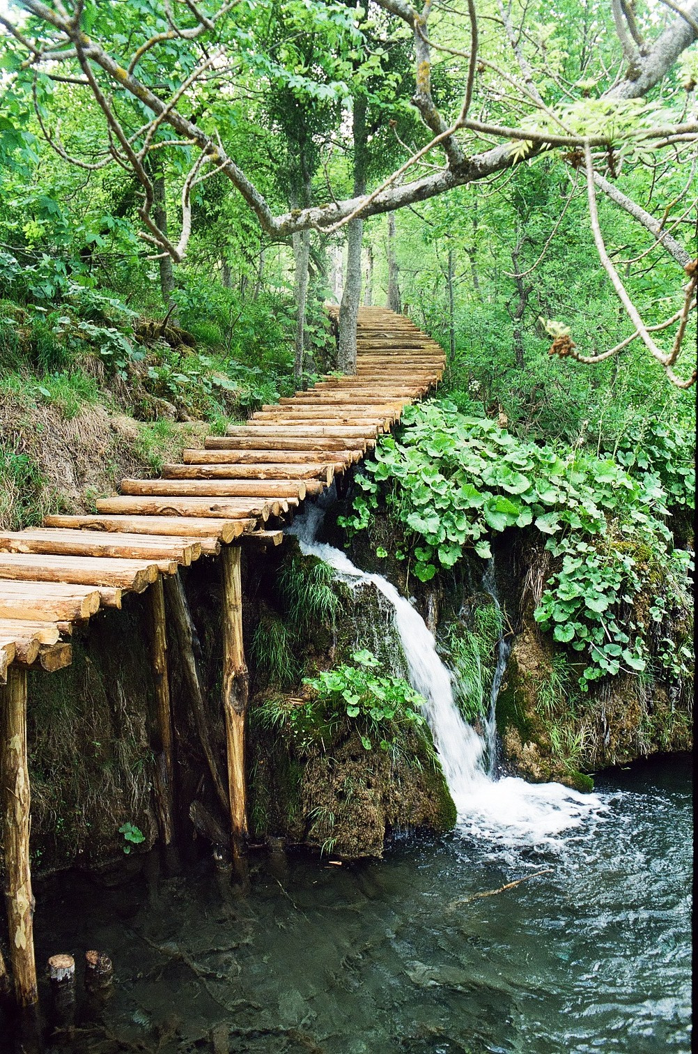 Plitvice