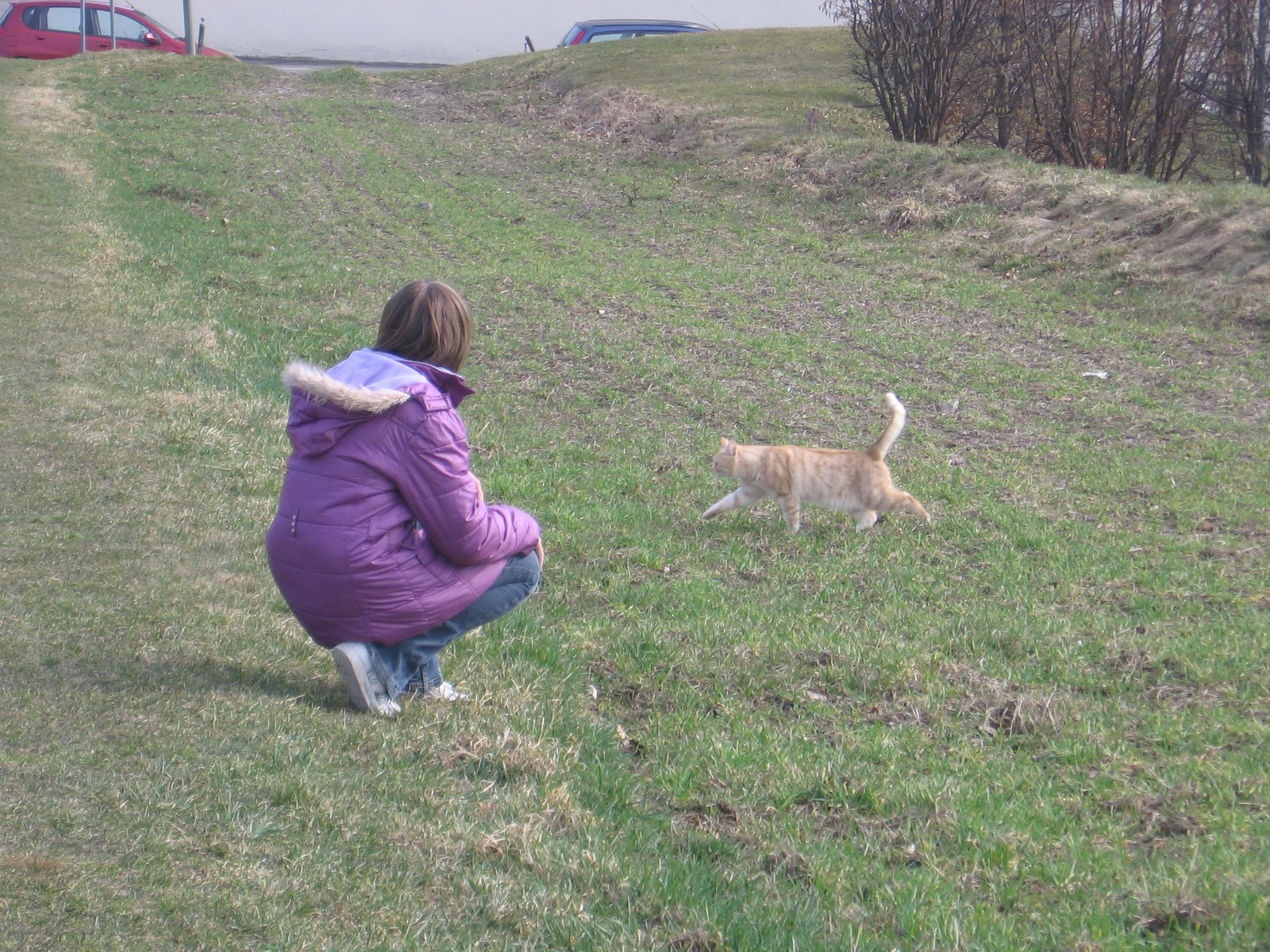 Neukirchen 2011.márc.26. +Márkó 9 és fél hó-ig 063