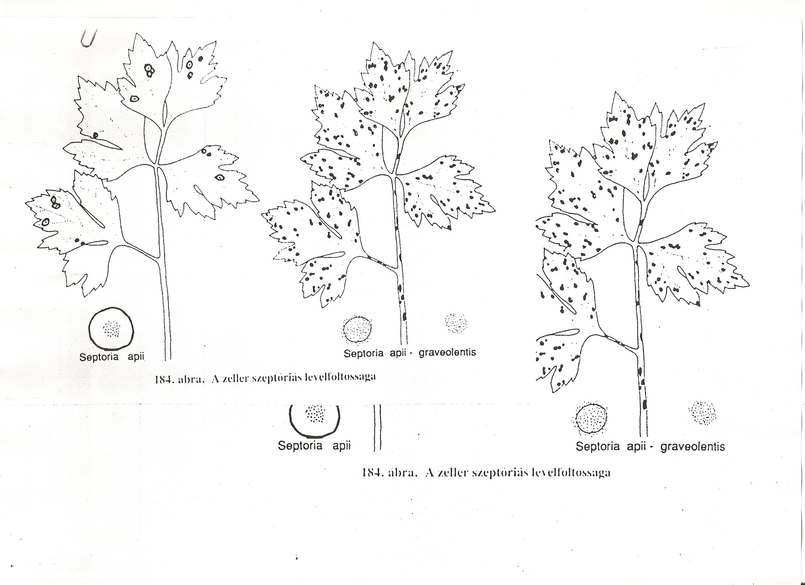 beolvasás0022