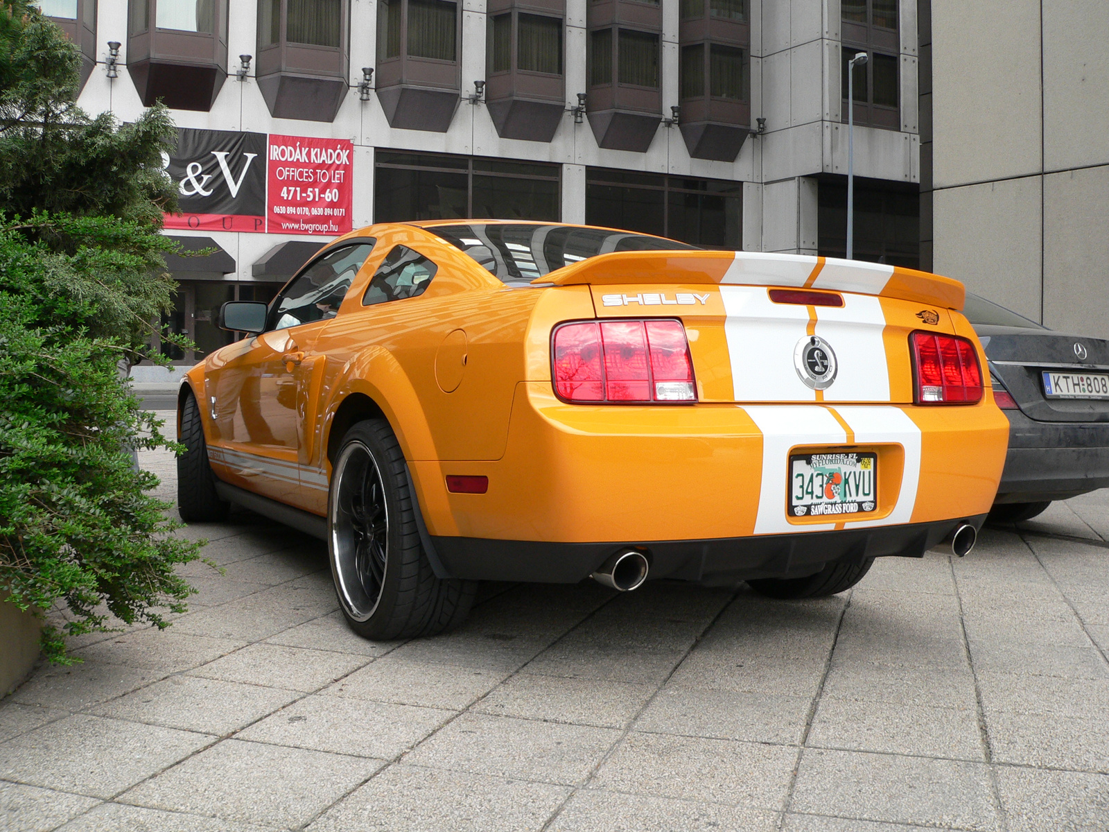 Shelby GT500