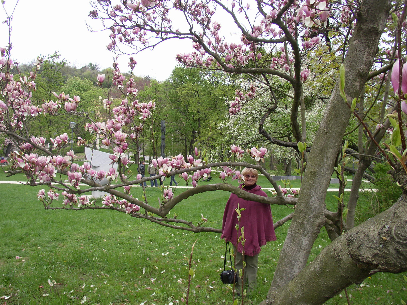 Pécs 2011