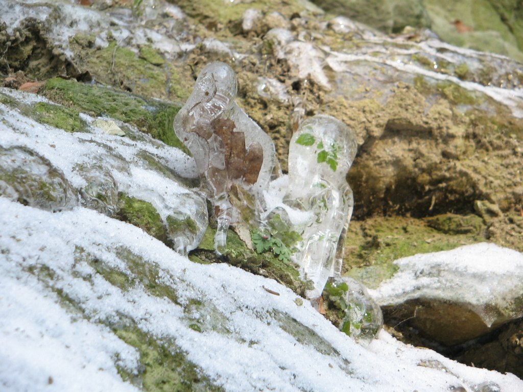 Holdvilág árok, Lajosforrás túra 2010.01.24. 020