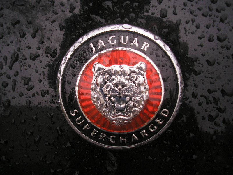 jaguar embléma